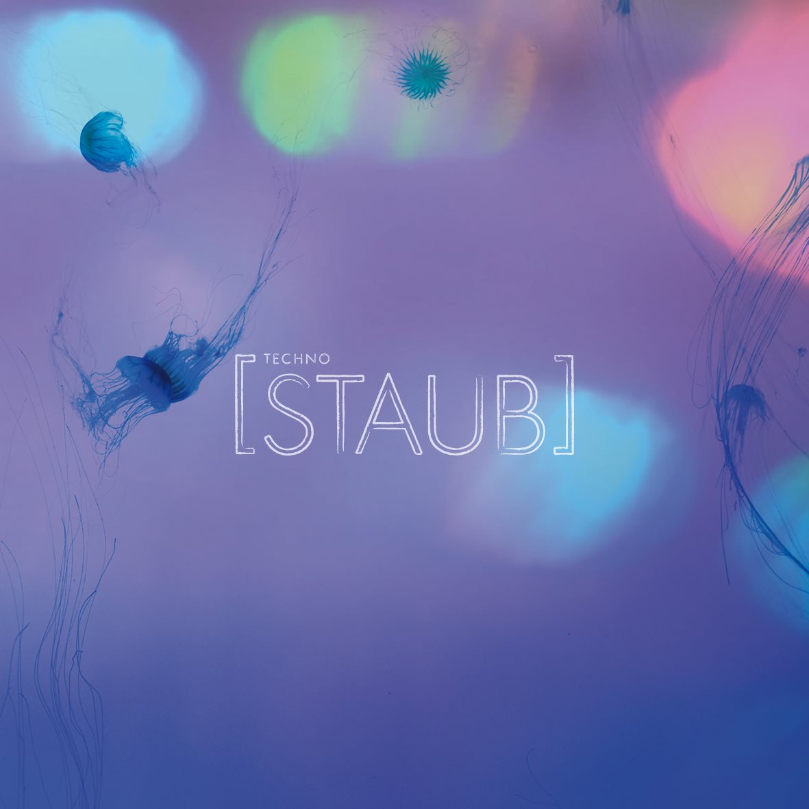 staub20150725